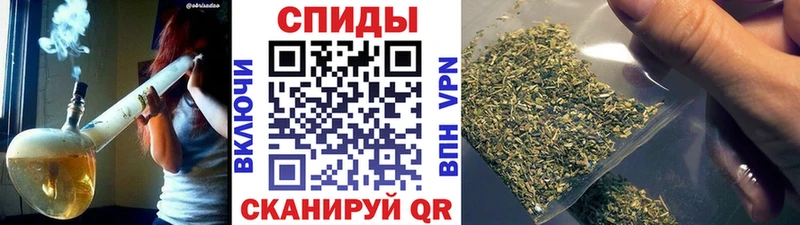 БУТИРАТ буратино  Короча 