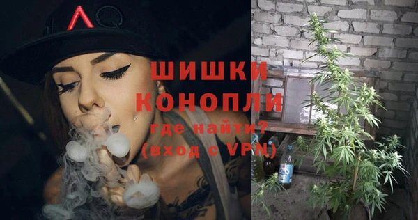 сатива Наволоки