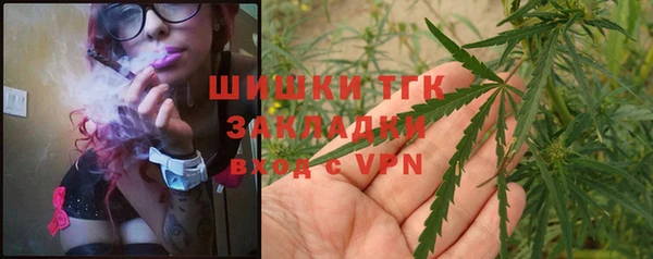 крисы Михайловск