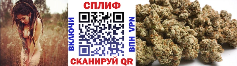 Бошки Шишки марихуана  Короча 
